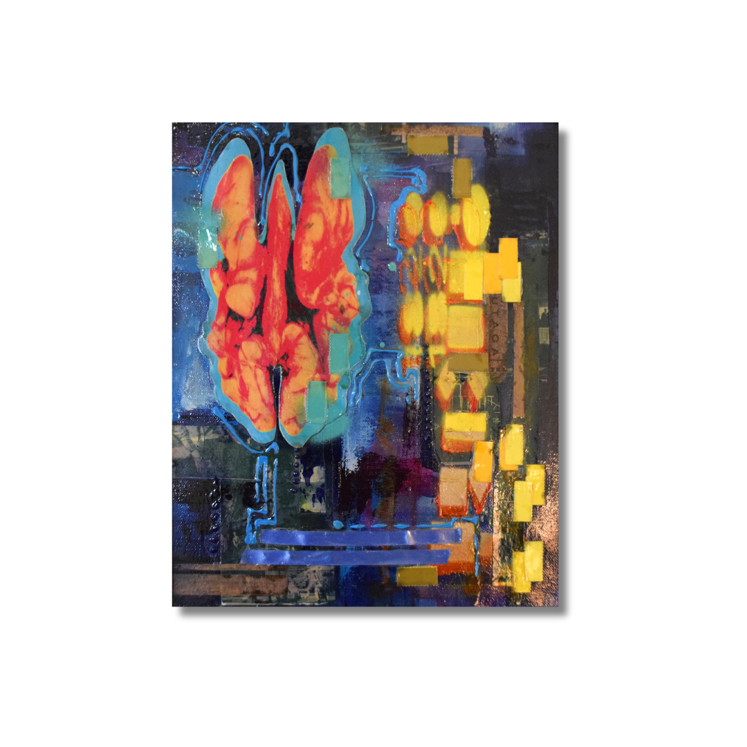 Conexiones cerebrales